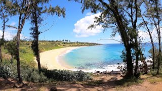 Check out Donkey Beach in Kauai. It's not what you think