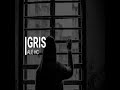 GRIS - ALE HC // VIDEO LYRICS