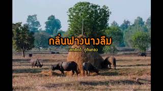 กลิ่นฟางนางลืม (แผ่นเสียง) - เสกศักดิ์ ภู่กันทอง