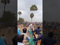 jallikattu jallikattulover svgjallikattu youtubeshorts viral emotional