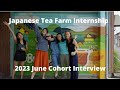 Japanese Tea Farm Internship - June - August 2023