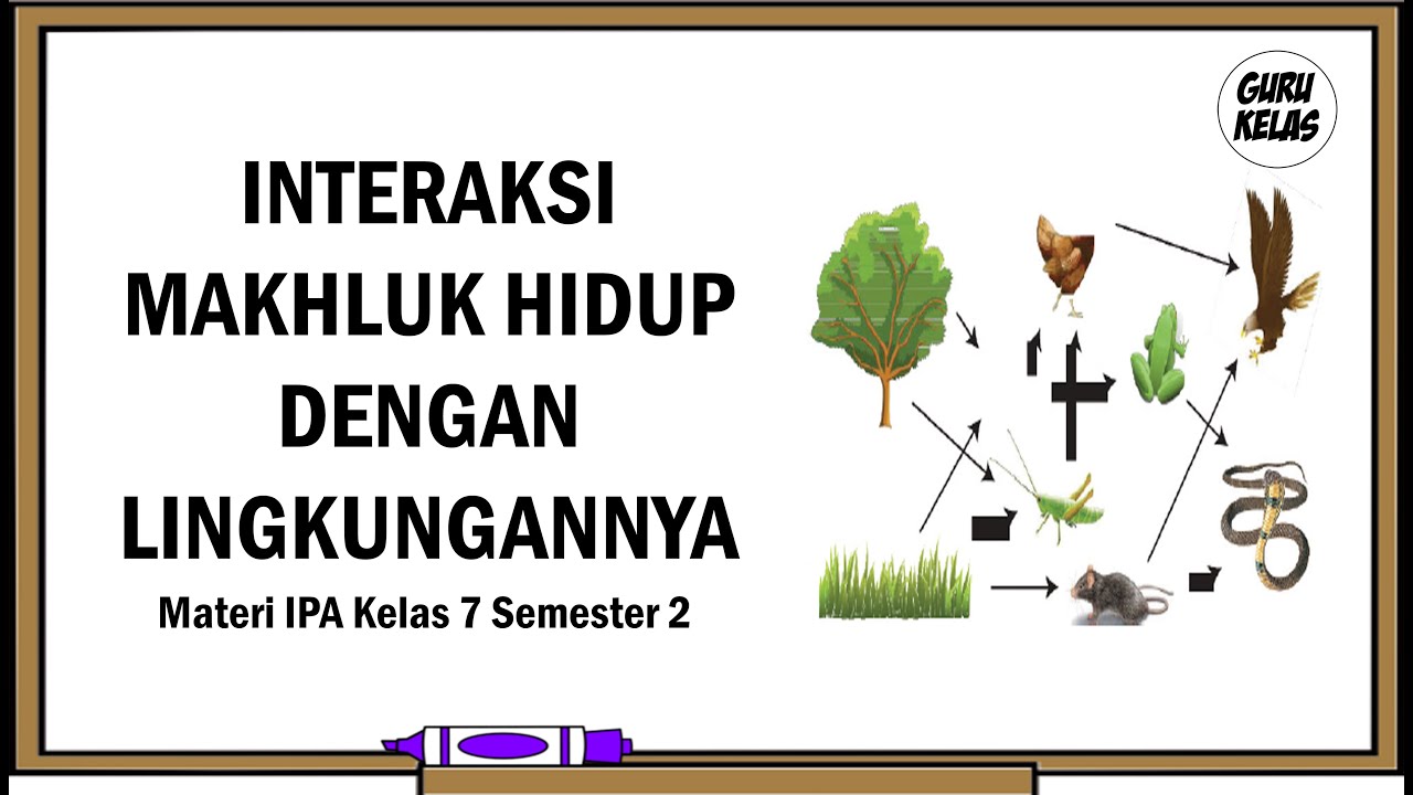 Interaksi Makhluk Hidup Dengan Lingkungannya Latihan Soal Doc ...