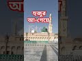 হুজুর আ গেয়ে falakkenajaro islamicshortvideo viral trending miladunnabi naat