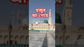 হুজুর আ-গেয়ে #Falakkenajaro #islamicshortvideo #viral #trending #miladunnabi #naat