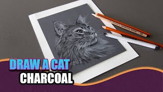 How to shade and blend with charcoal pencils for beginners - Cat