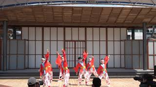 (4K)幡多舞人 Part1  たびひろよさこい　こうち旅広場　2021.5.2