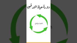 دورة حياة التدقيق الداخلي