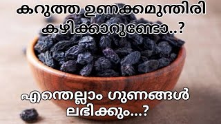 കറുത്ത ഉണക്കമുന്തിരി കഴിക്കുന്നതിന് പിന്നിലെ രഹസ്യം/ ഉണക്കമുന്തിരിയുടെ  ഗുണങ്ങൾ/Benefits of Raisins