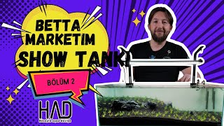 Stüdyo Akvaryum Kurulumu 120x50x40 Setup 2 | Betta Marketim (Show Tankı)