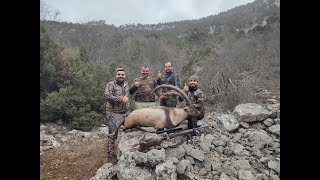 AKSEKİ GİDEN GELMEZ DAĞLARİ YABAN KEÇİSİ AVİ BEZOAR IBEX HUNTİNG İN TURKEY 2024 - 2025