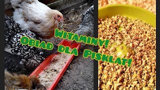 Hodowla Kur 🐓🐔 Witaminy i pierwszy posiłek Piskląt 🐣🍋🌿