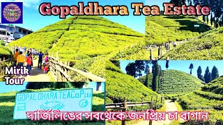 Gopaldhara Tea Estate || Gopaldhara Tea Garden || Mirik || Darjeeling Tour || My Travel World ||