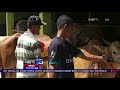 Supermarket Unik Menjual Sapi Kurban - NET 5