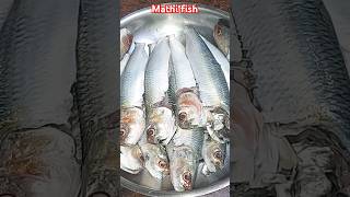 மத்தி மீன்#shorts#mathi fish#shortsfeed#trendingshorts