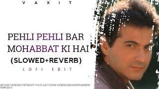 Pehli Pehli Baar Mohabbat Ki Hai (slowed+reverb) lofi edit #slowedreverb #lofimusic #romanticmashup