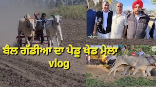 OX RACE ( DOHRI DAUD ) ਬਲਦਾ ਦੀ ਦੋਹਰੀ ਦੌੜ and HALT RACE ਹਲਟ । ਬੈਲ ਗੱਡੀਆ ਦਾ ਪੇਡੂ ਖੇਡ ਮੇਲਾ vlog