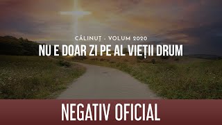 Negativ oficial - CĂLINUȚ - NU E DOAR ZI PE AL VIEȚII DRUM