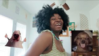 She’ssssssssss baaaaaacccck!