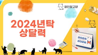 2024년 탁상 달력 리뷰 및 추천 Best 5