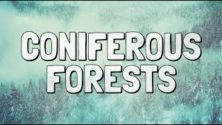 What Is the Coniferous Forest Biome?
