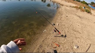 Trout Fishing in SoCal : A Day at Santa Ana River Lakes