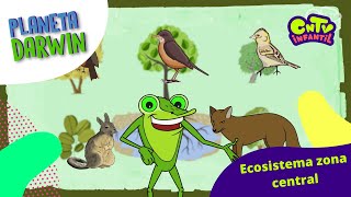 Ecosistema zona central - Explicado para niños: Planeta Darwin