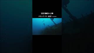 2023 春のトリ沖 エモンズダイブ（船首編）