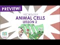 Animal Cells 2 (Cell Structure, HSC Biology) preview - Schooling Online