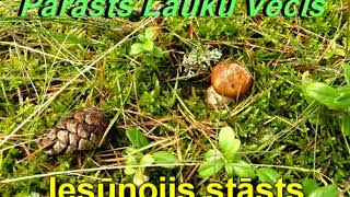 Parasts Lauku Vecis - Iesūnojis stāsts