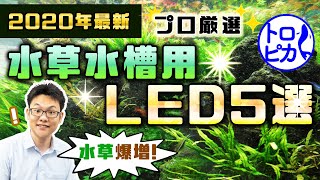 【2020年最新】水草水槽用おすすめLED5選！水草爆増します