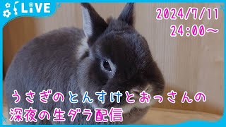 【雑談・うさぎ】うさぎのとんすけとおっさんの深夜の生ダラ配信　2024/7/11