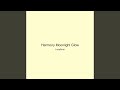 Harmony Moonlight Glow