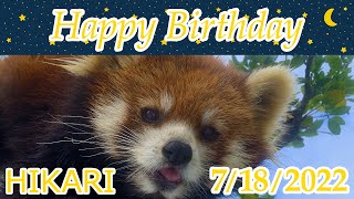 HappyBirthday to HIKARI (Red Panda) on July 18,2022