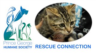 PGHS Rescue Connection - July 4th, 2024