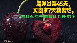 漂洋过海45天，买回家7天就腐烂，智利车厘子到底藏着什么秘密？