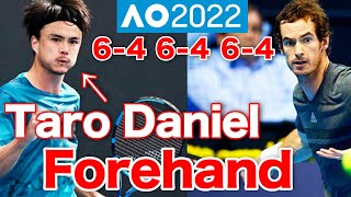 ATP Pro Taro Daniel's (he won against Andy Murray AO2022)  Forehand - Pro Tennis Lesson