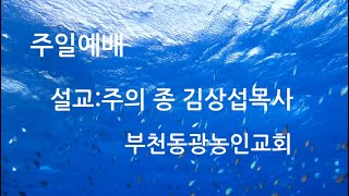 24.08.04 부천동광농인교회/ 김상섭목사/ 설교제목(베옷을 입고 재에 앉으라 1) 마태복음 11장 21절