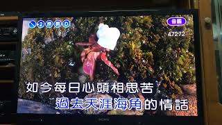 口琴演奏曲：秋風秋雨秋夜情。（原唱：洪榮宏）、（翻唱：遊龍）。喜愛這部影音的好朋友們，聆賞之餘不忘下載（遊龍口琴）給我關注點讚鼓勵和分享喔！謝謝！