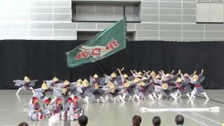 かつみ鳴子会（2013埼玉YOSAKOIフェスティバル・コミュニティアリーナ会場）