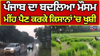 Weather | Punjab | Rain | Tarntaran ਤਰਨਤਾਰਨ 'ਚ ਤੇਜ਼ ਮੀਂਹ ਨੇ ਬਦਲਿਆ ਮੌਸਮ ਦਾ ਮਿਜ਼ਾਜ | INDIA NEWS PUNJAB