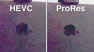 Why Shoot ProRes on the iPhone 13 Pro? (Real-world differences)