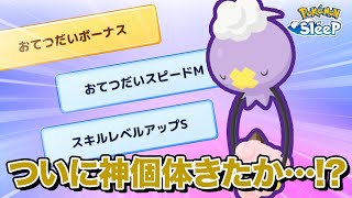 【ポケモンスリープ】ついに念願の神個体フワンテか…！？