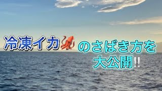 誰でも簡単にできるように！新鮮な急速冷凍イカ🦑の捌き方を大公開🦑【はるか丸活イカ】