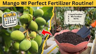 Mango Plant Fertilizer Routine Month by Month | आम के पेड़ को कब, कौन सा खाद डालना चाहिए?