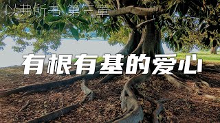 一起读圣经128 - 有根有基的爱心 - 以弗所书 第三章