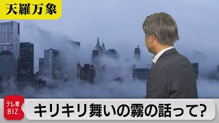 年々減り続ける気象現象　キリキリ舞いの霧の話って？【久保田解説委員の天羅万象】（149）（2023年11月3日）