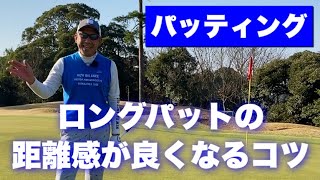 【パター】 これを知らないと距離感 は一生合いません【練習方法も紹介】