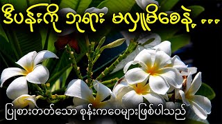 အကုသိုလ်ဓာတ်ပါသော မကောင်းကျိုးပေးစွမ်းနိုင်သော ပန်းအညွန့်များ