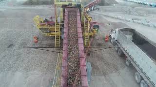 2022 Michigan Sugar Beet Harvest