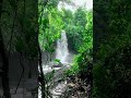 thirikakkayam waterfalls.....